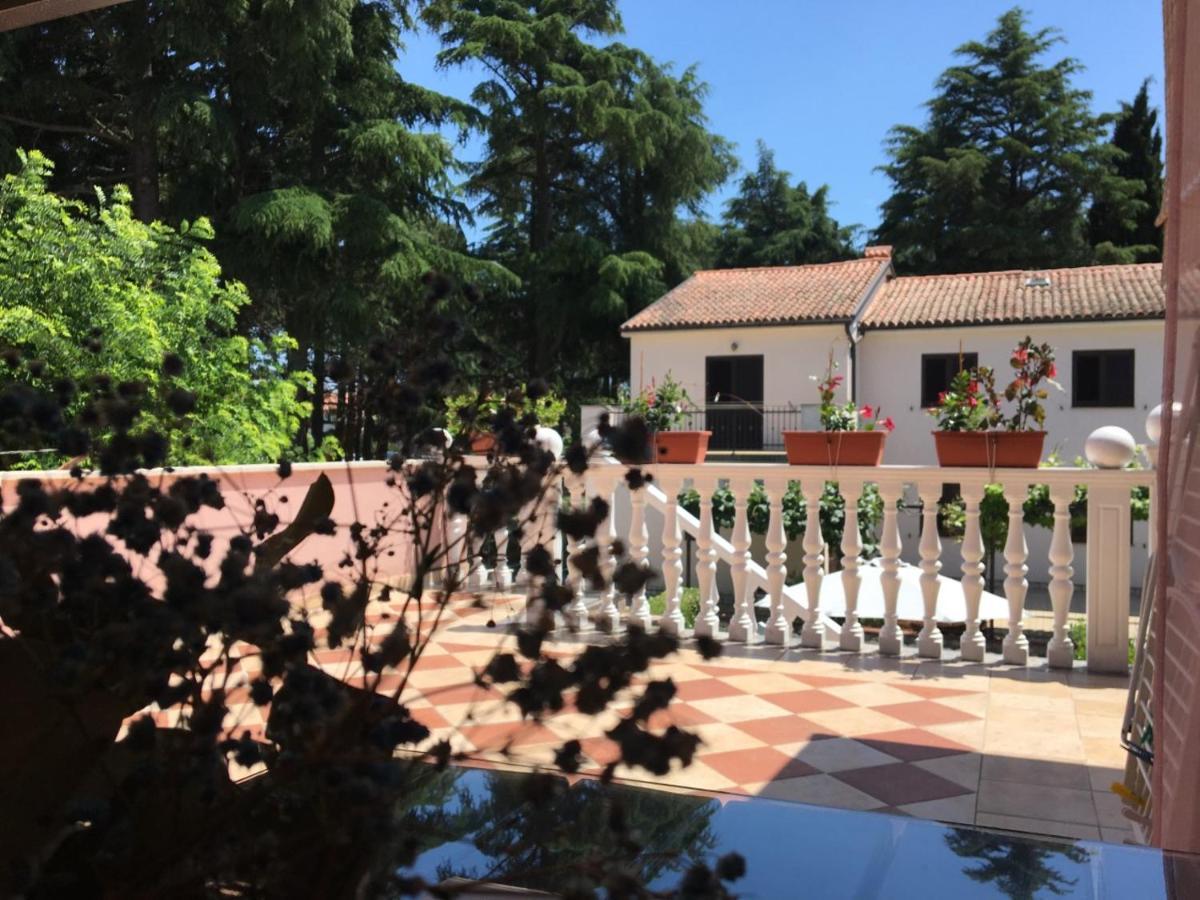 Apartments Tereza Novigrad Istria Dış mekan fotoğraf